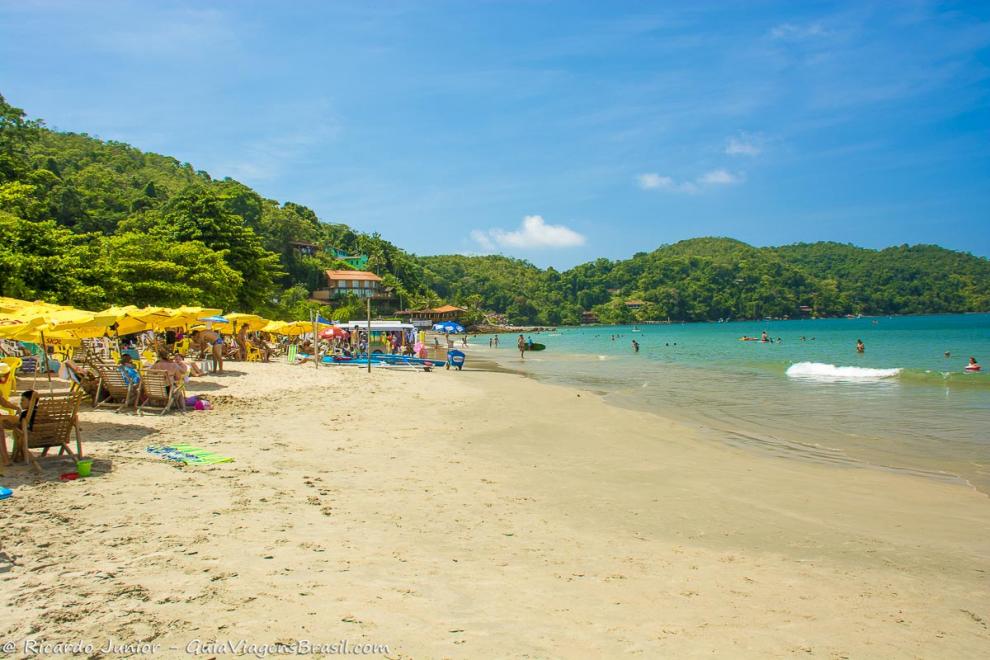 Imagem de vários guarda sol nas areias da Praia da Almada em Ubatuba.